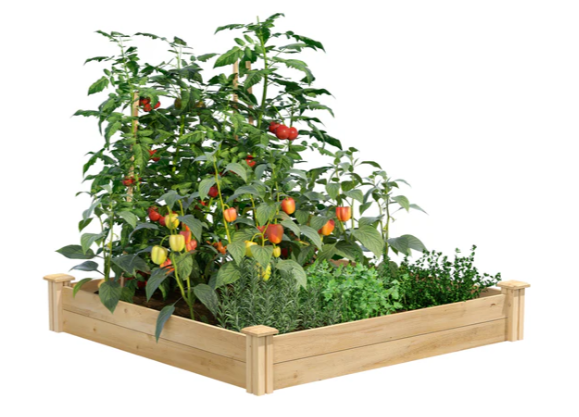 Greenes 4ft x 4ft cedar raised garden bed