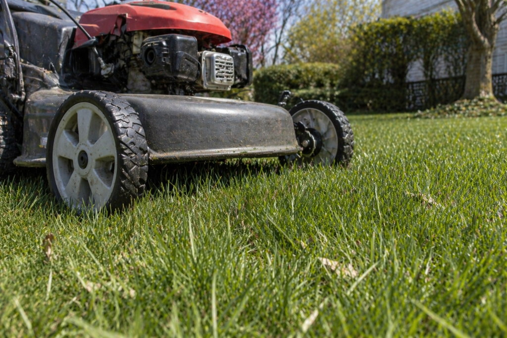 lawn mower deck set high over taller spring grass