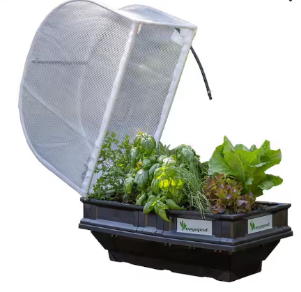 Vegepod raised garden bed with cover