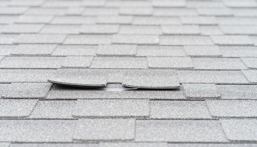 Close view of an asphalt-shingle roof with a few shingles showing slightly curled bottom corners.