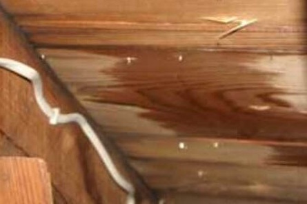 Damp spot on attic roof sheathing suggesting a possible roof leak.